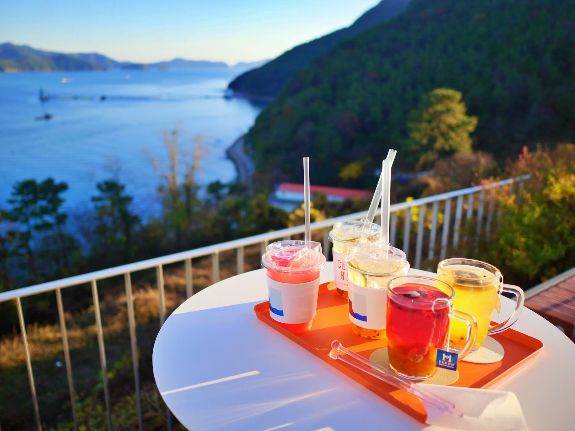 Exploring the Evolution of Café Menus: How Food Trends Are Shaping the Coffee Experience