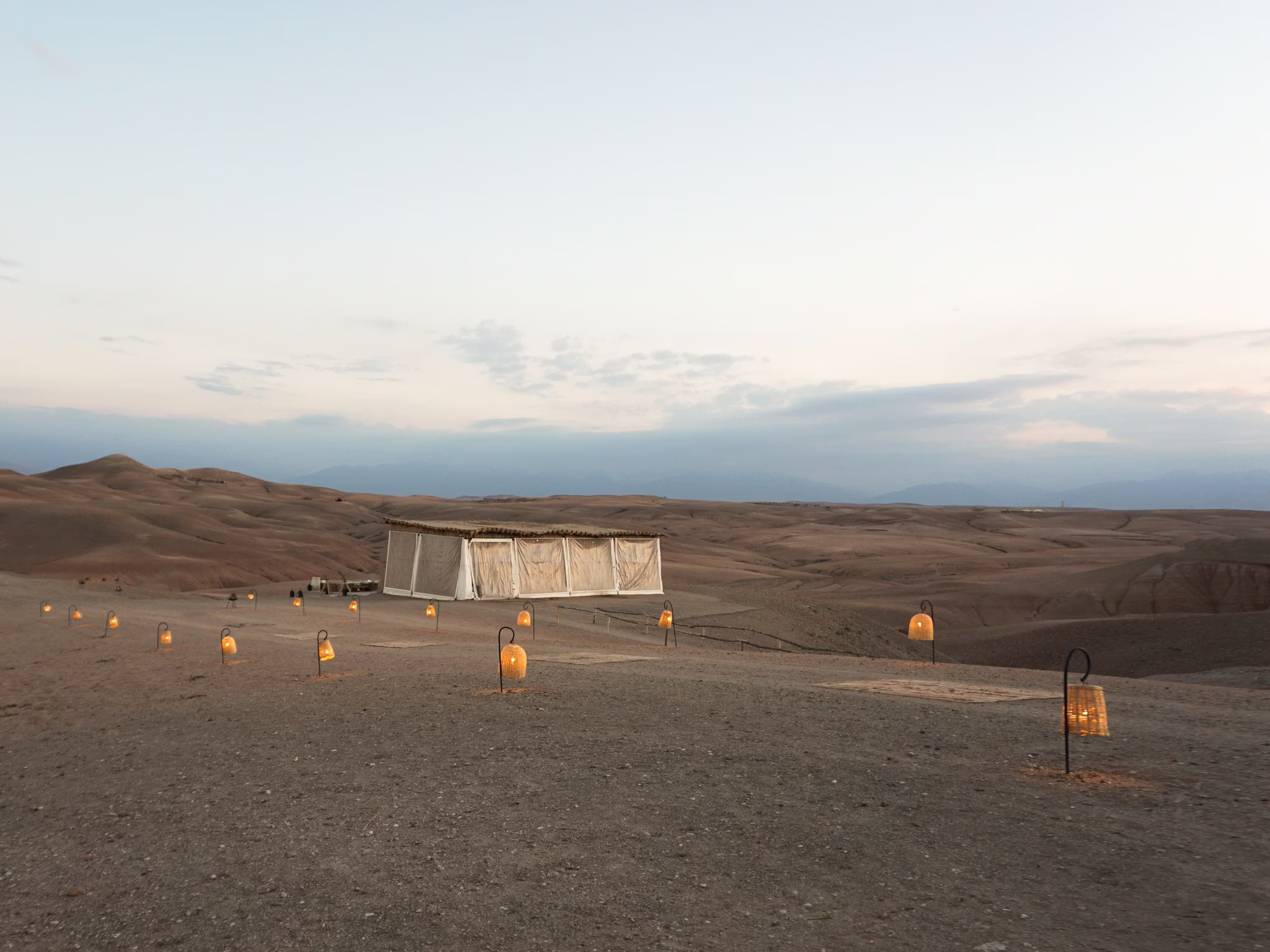Delightful Delicacies: Exploring the World of Cookies